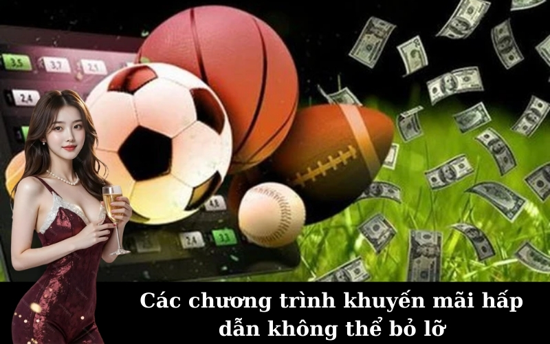 Các chương trình khuyến mãi hấp dẫn không thể bỏ lỡ