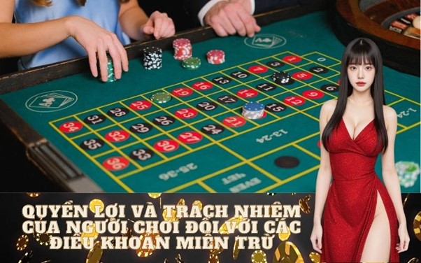 Quyền Lợi Và Trách Nhiệm Của Người Chơi Đối Với Các Điều Khoản Miễn Trừ