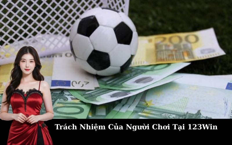 Trách Nhiệm Của Người Chơi Tại 123Win