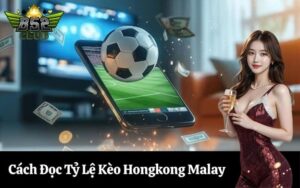 Cách đọc tỷ lệ kèo Hongkong Malay cho người mới chơi