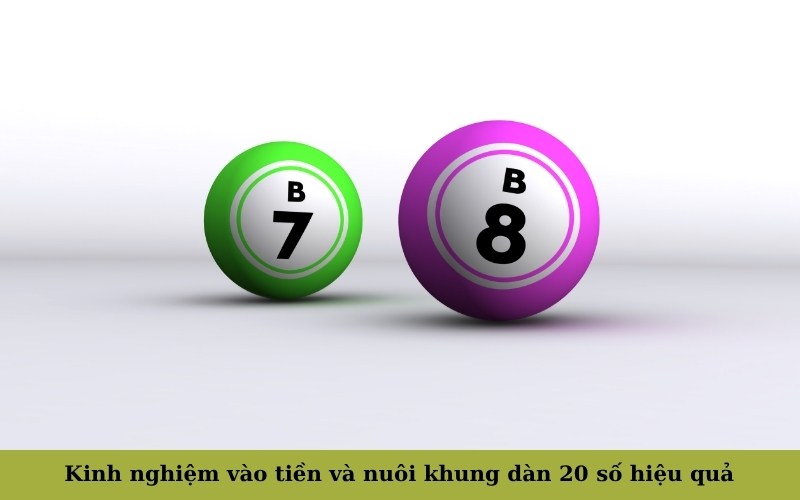 Kinh nghiệm vào tiền và nuôi khung dàn 20 số hiệu quả