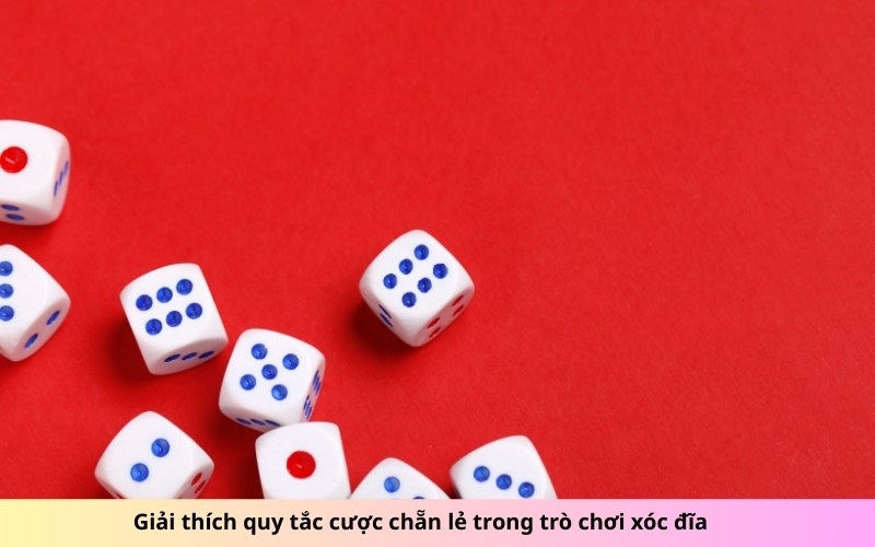 Giải thích quy tắc cược chẵn lẻ trong trò chơi xóc đĩa