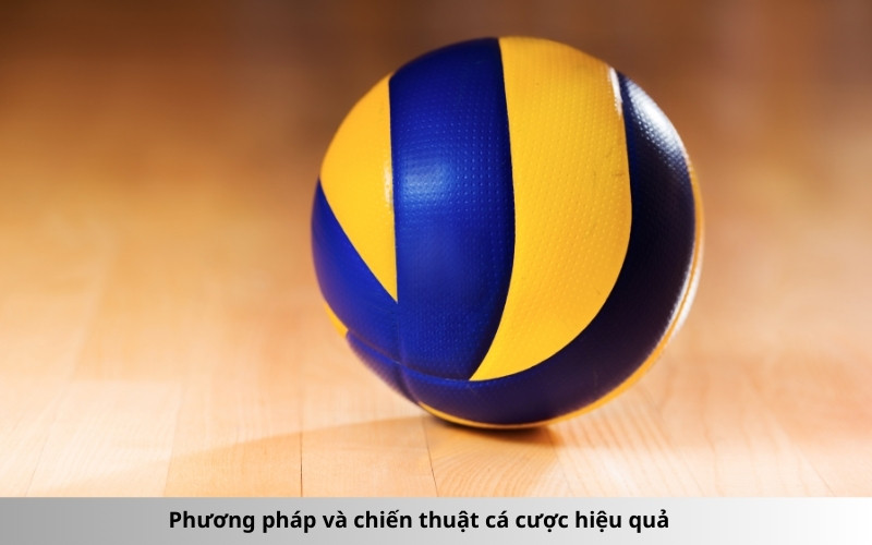 Phương pháp và chiến thuật cá cược hiệu quả