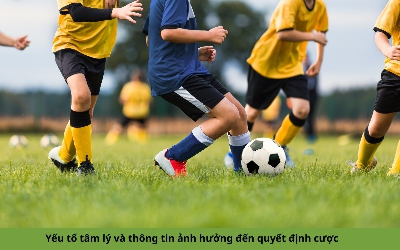 Yếu tố tâm lý và thông tin ảnh hưởng đến quyết định cược